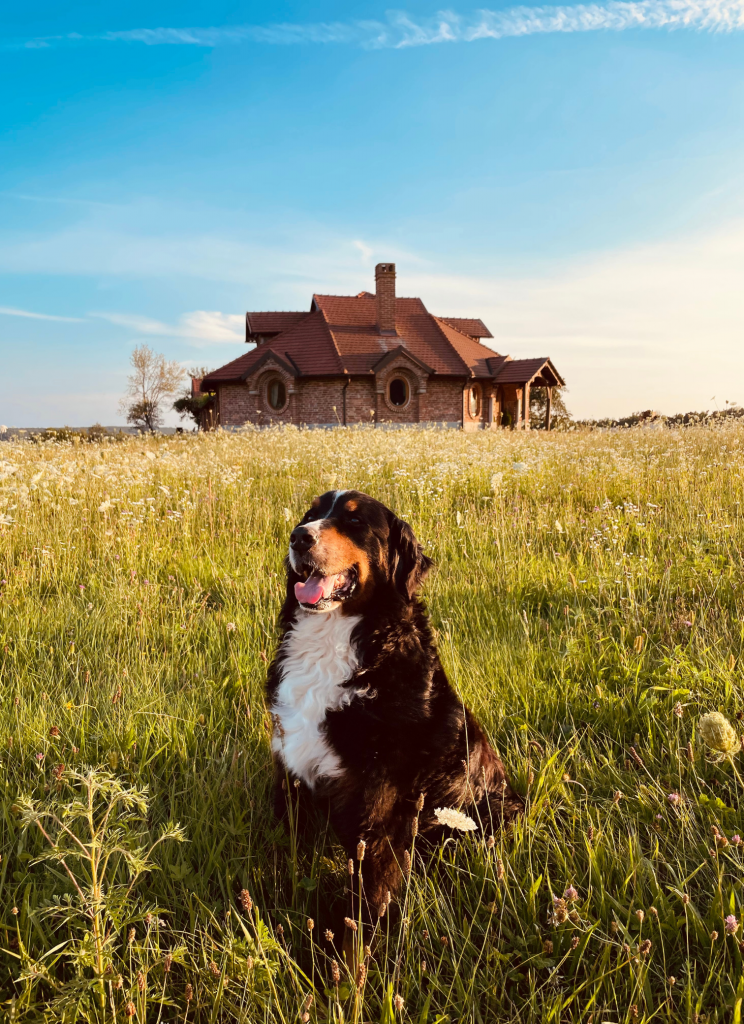 Zunanjost - Villa Goričko